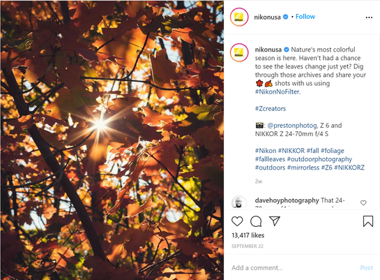 social media image 2