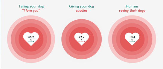 viral growth strategies image