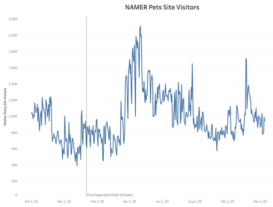 digital insights pets site visitors