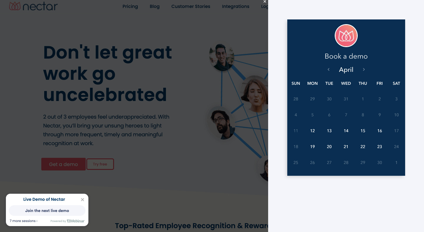 Nectar Book a Demo Page