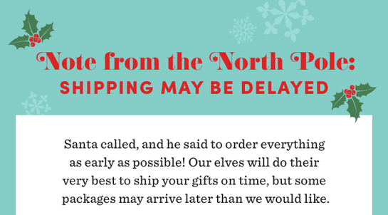 An email from World Market in December 2021 warning ecommerce holiday shoppers of shipping delays.