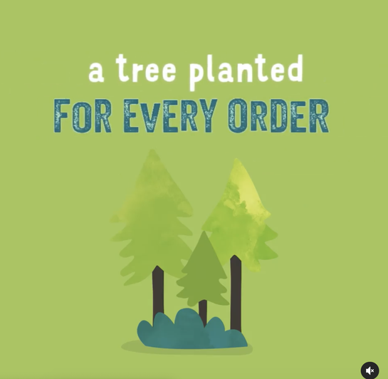 Instagram post from Edgard & Cooper that shows shoppers they plant a tree on behalf of their customers when they spend.