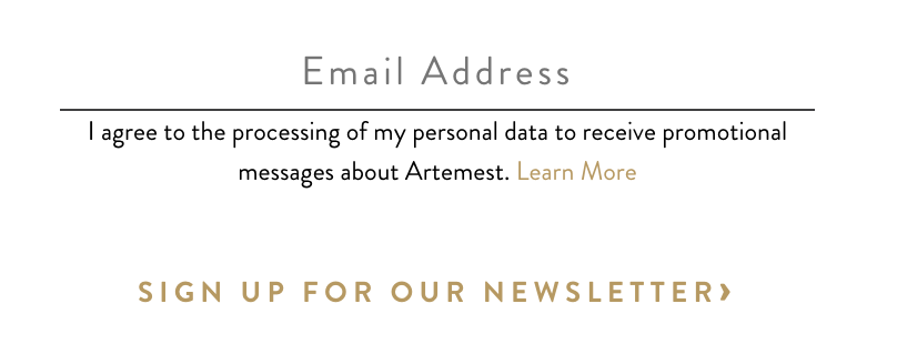 Artemest, a destination for luxury furniture and home décor, keeps its contact capture simple: email address and that’s it.