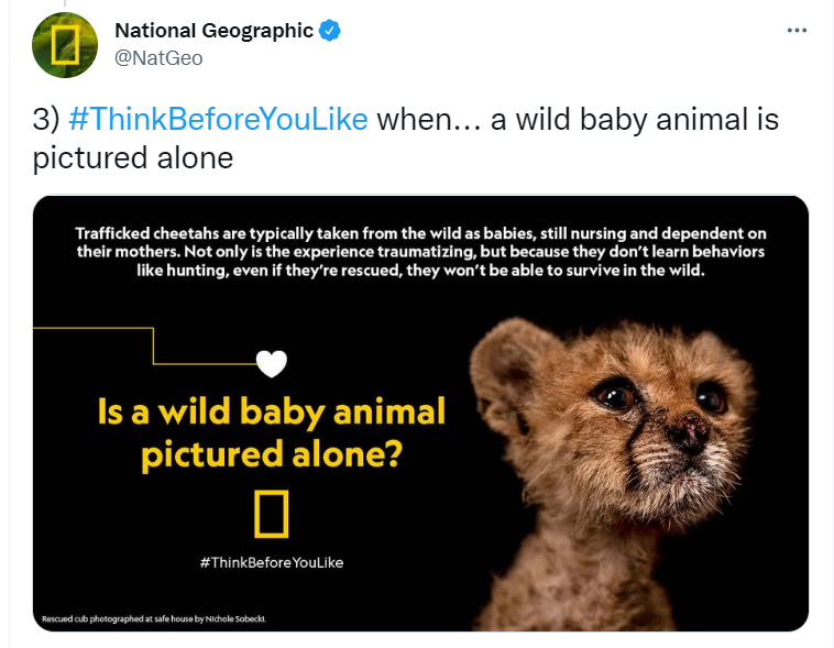 Les meilleures publicités ne se contentent pas de vendre des produits, elles informent ou divertissent.