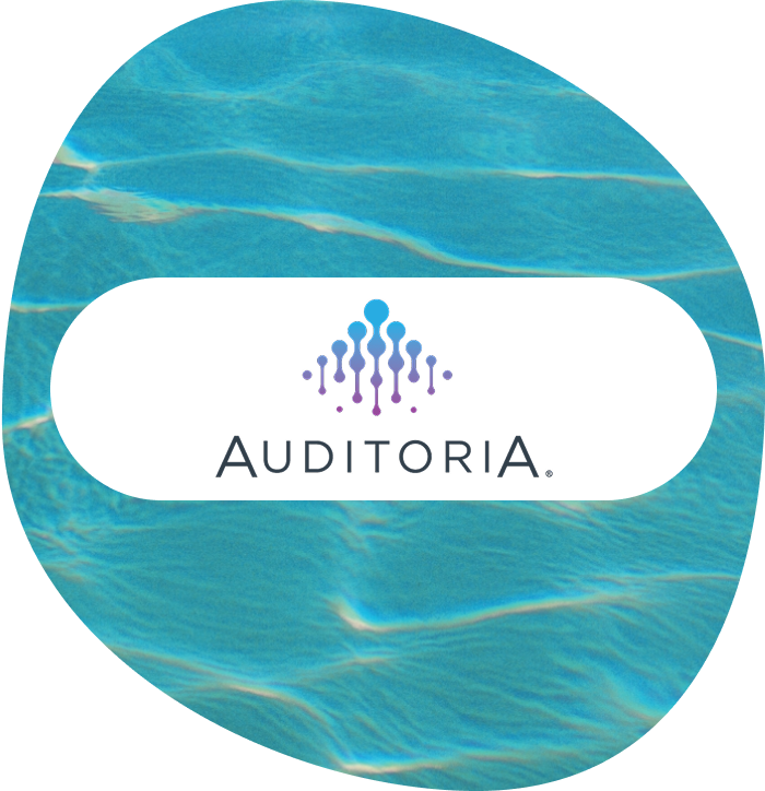 Auditoria