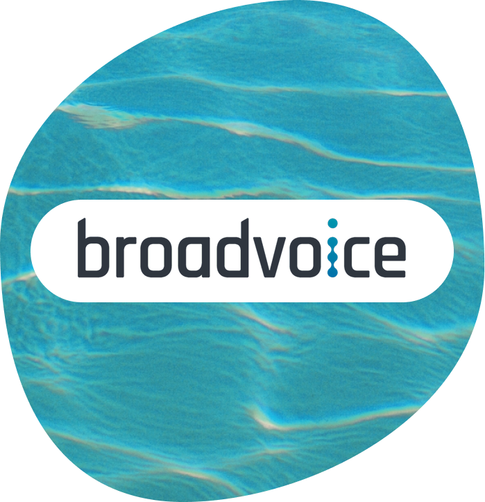 Broadvoice