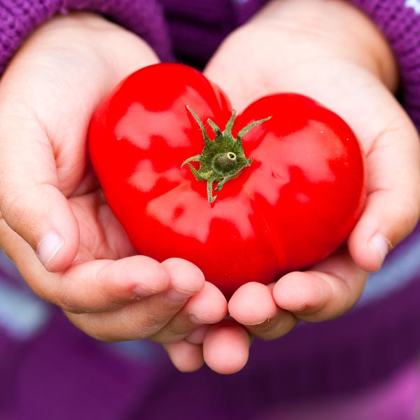A child holding a tomato shaped like a heart. 