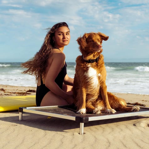 A woman in a black bathing suit sits next to a ginger-colored dog sitting on a K9 Ballistics bed on a sandy beach.