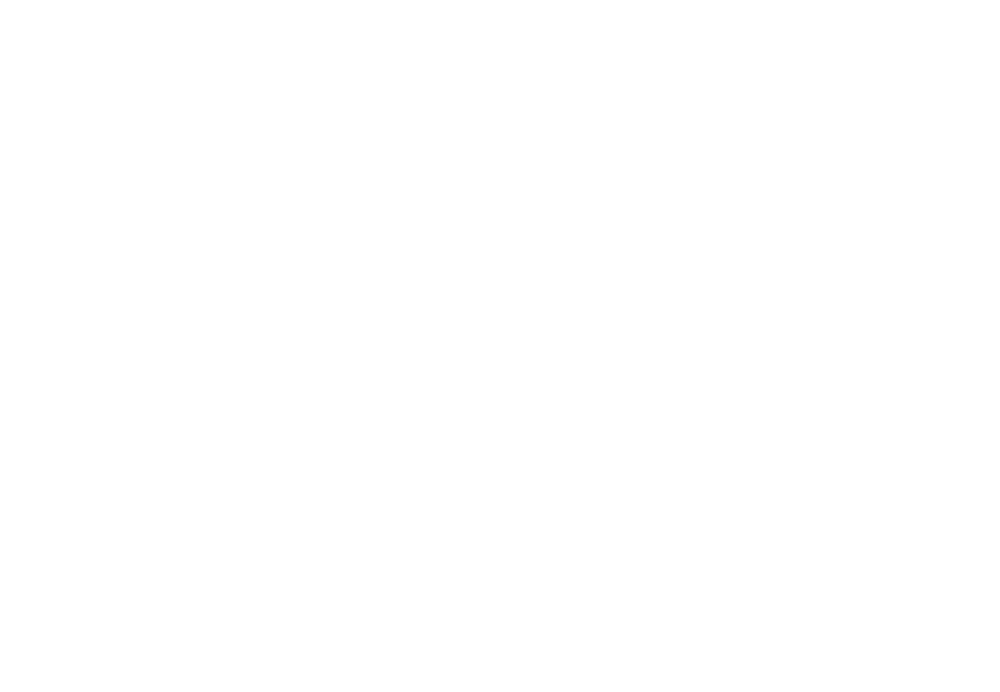 Lane Boots logo.