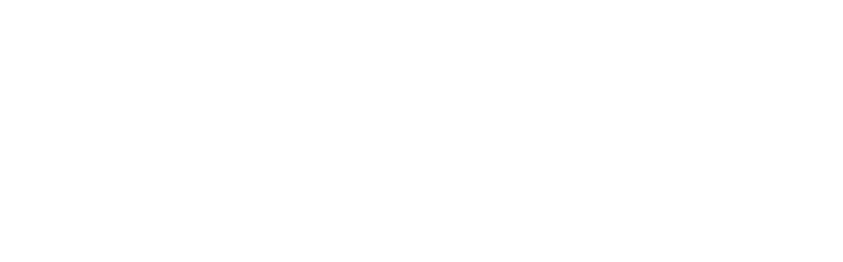 Leonisa logo.