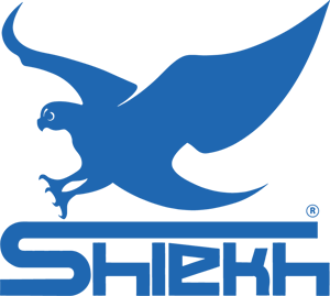 Shiekh Shoes